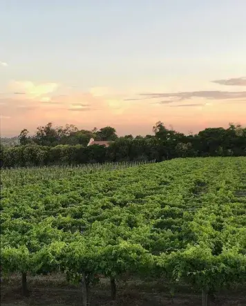 Nuestra bodega